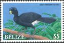 Great Curassow (Crax rubra)